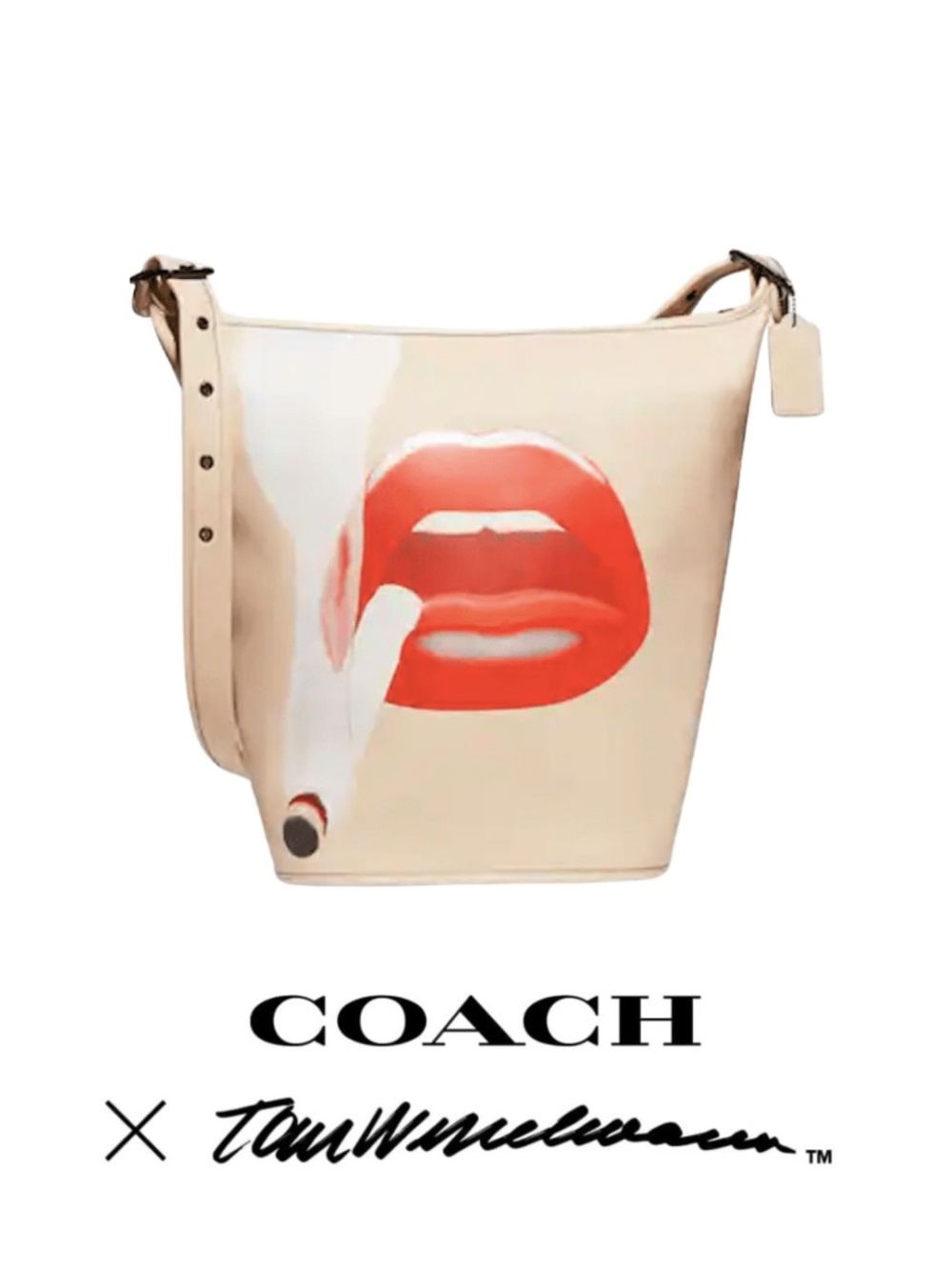 Coach x Tom Wesselmann Duffle 27 Bucket Bag - 2022 Limited Edition - RARE